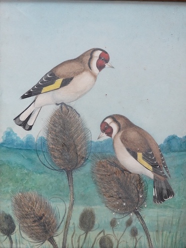 Tom Banks, early 20th century watercolour, Birds amongst thistles, unsigned and inscribed in pencil verso, 24 x 19cm. Condition - fair